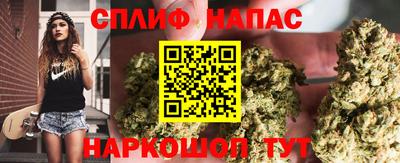 наркотики Новодвинск