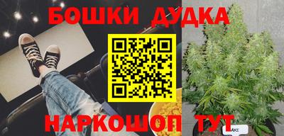 наркотики Новодвинск