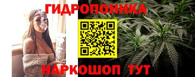 наркотики Новодвинск