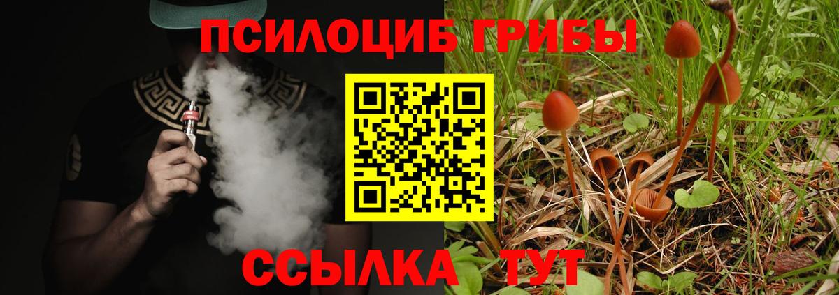 Галлюциногенные грибы мухоморы Рузаевка