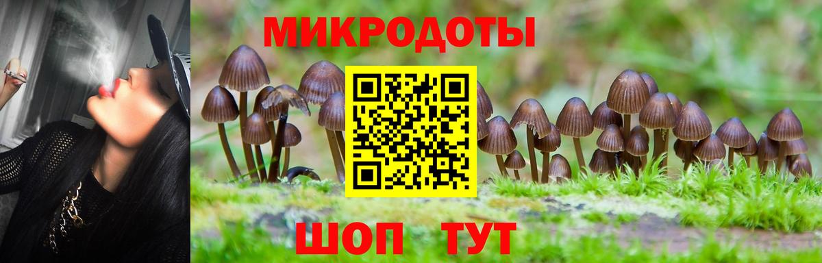 Рузаевка  Галлюциногенные грибы ЛСД  Вход с VPN 
